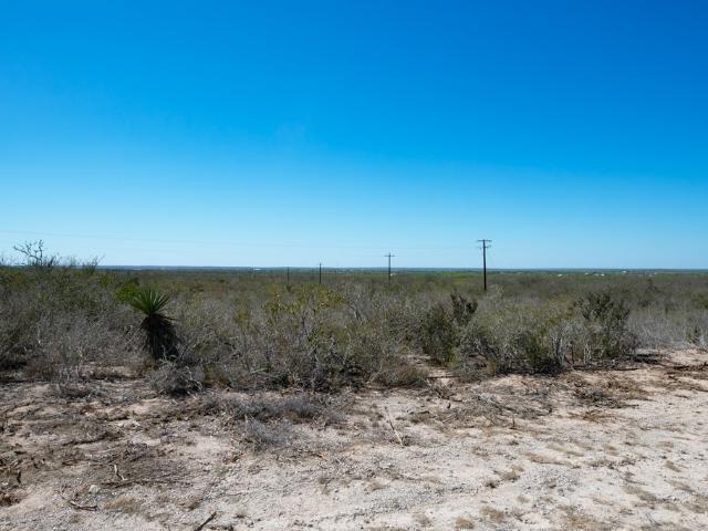 Farm for sale in Freer, Texas