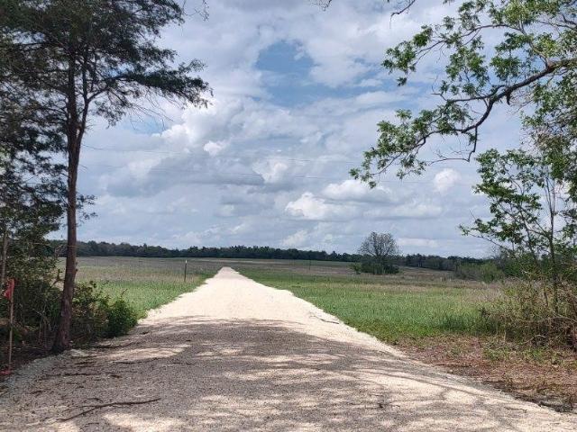 Land for sale in Caldwell, Texas