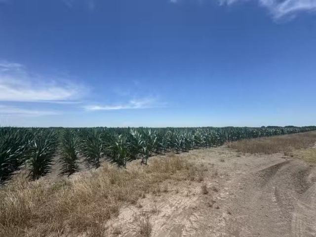 House for sale in El Campo House for sale in El Campo