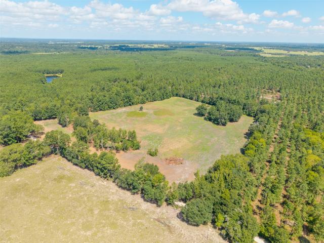 Land for sale in Cut, Lovelady