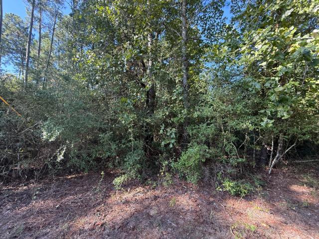 Land for sale in Lovelady, Houston County