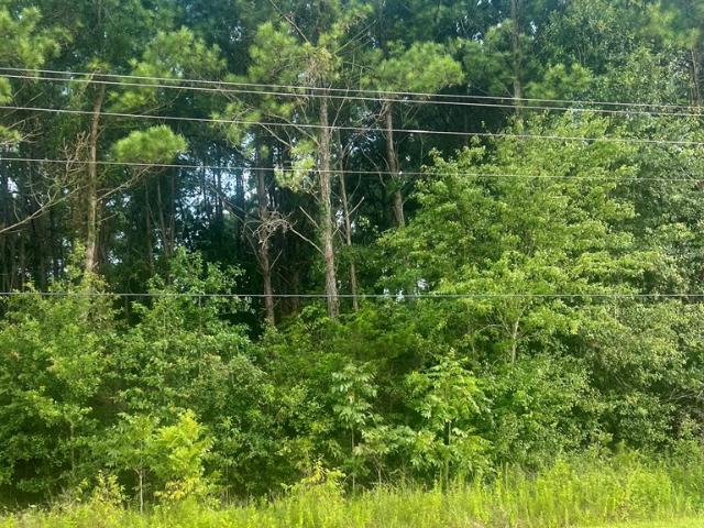 Land for sale in Cottonwood, Alabama