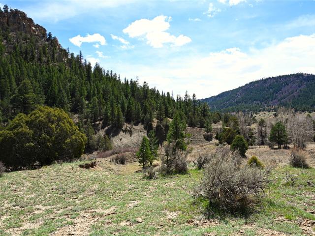 Land for sale in New Mexico