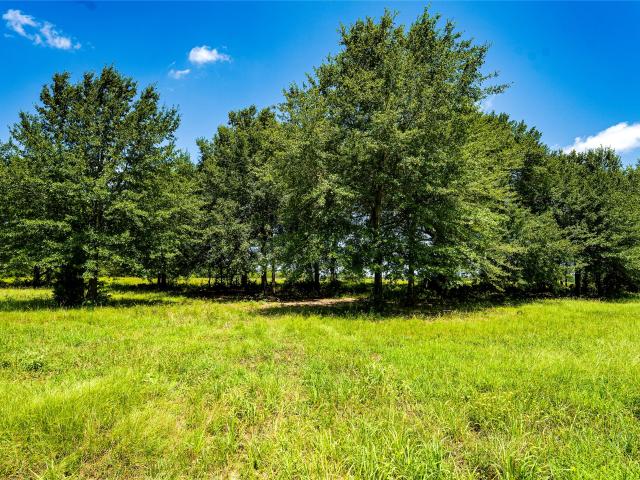Land for sale in Milam, Texas