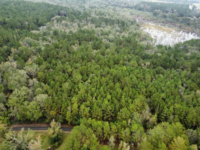 Land for sale in San Augustine, Texas