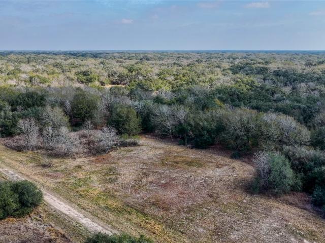 Land for sale in Louise, Texas