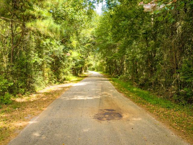 Land for sale in Village Mills, Texas