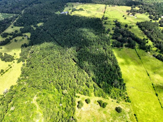 Land for sale in Crockett, Texas