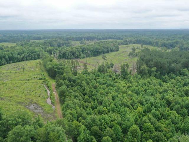 Land for sale in Panola, Texas
