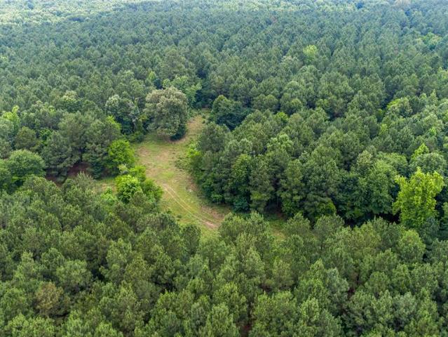Land for sale in Camp, Texas