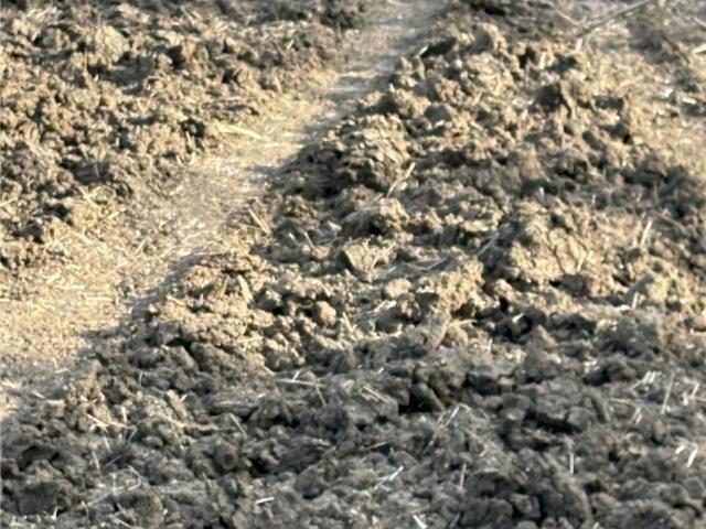 Farm for sale in Lott, Texas