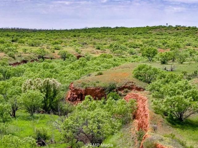 Land for sale in Fisher, Texas
