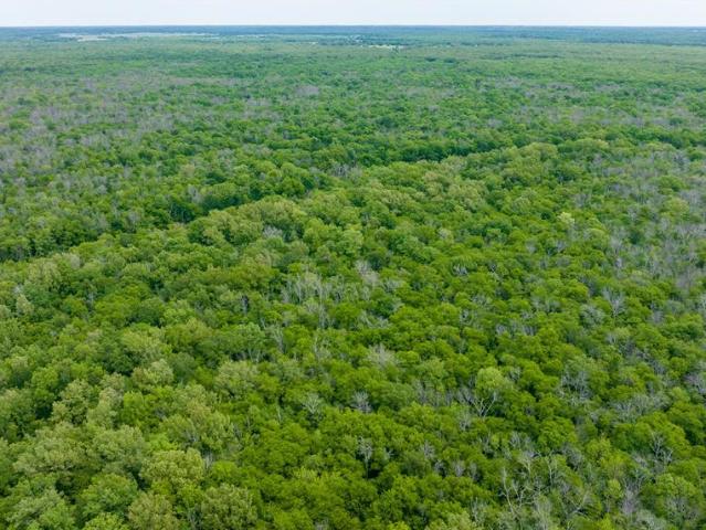 Land for sale in Annona, Texas