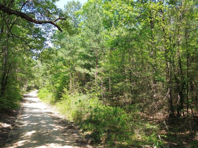 Land for sale in Kennard, Texas