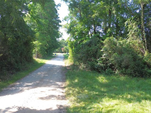 Land for sale in Kennard, Texas