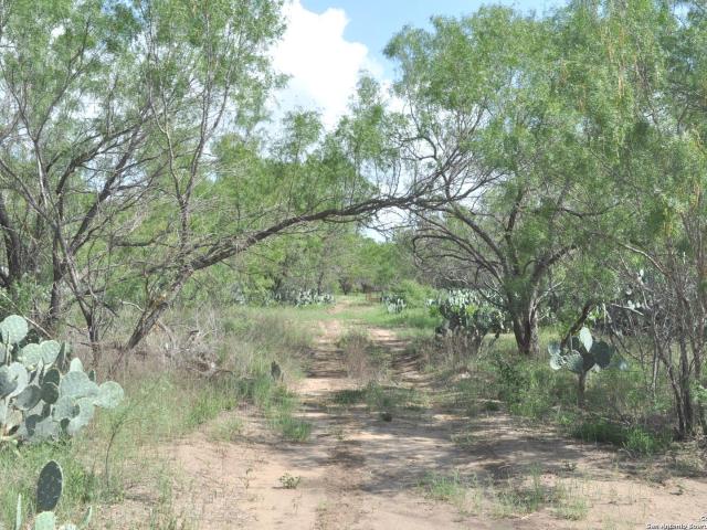 Land for sale in Medina, Texas