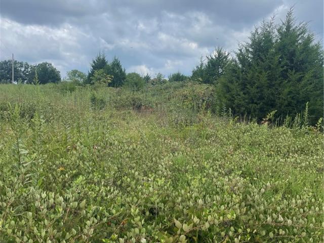 Land for sale in Ark