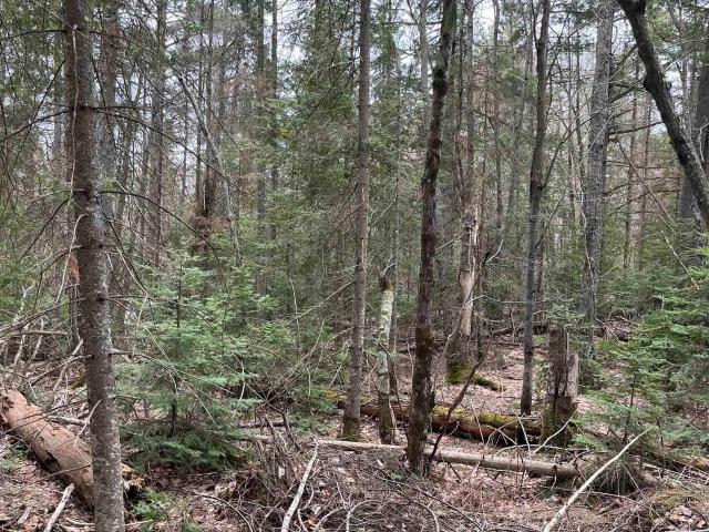Land for sale in Michigan