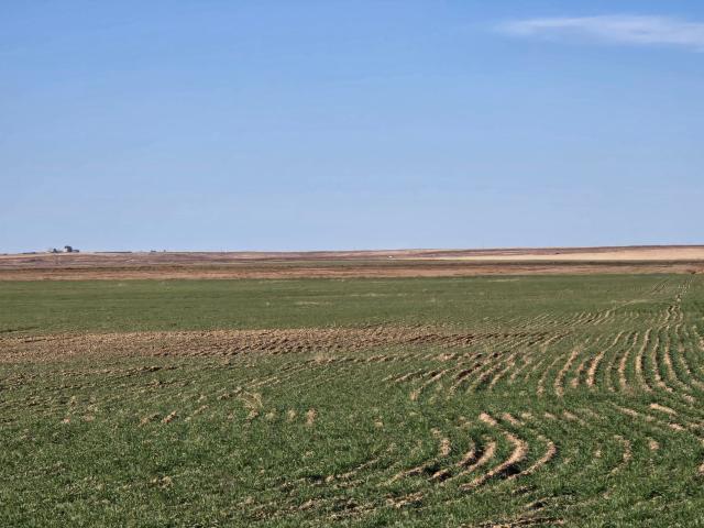Ranch for sale in Haswell, Colorado