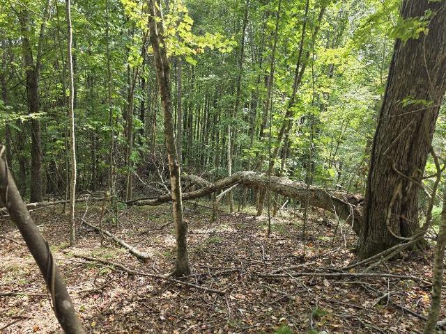 Land for sale in Virginia