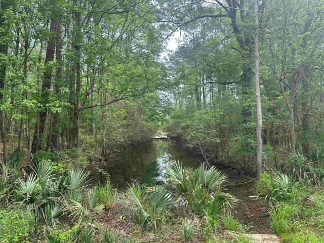 Land for sale in South Carolina