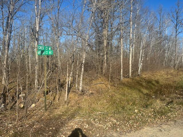 Land for sale in Beltrami, Minnesota