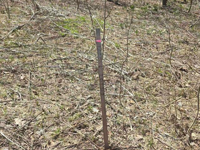 Land for sale in Houghton, Michigan