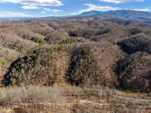 Land for sale in Tennessee