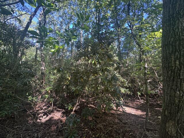 Land for sale in Hillsville, Patrick County
