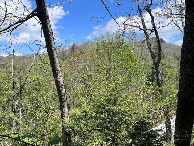 Land for sale in Avery, North Carolina