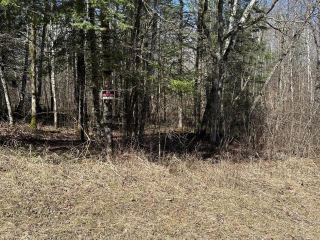 Land for sale in Beltrami, Minnesota