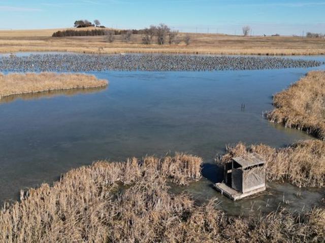 Farm for sale in Kersey, Colorado