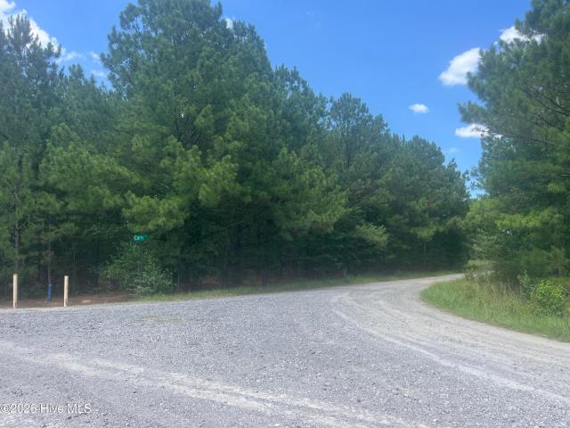 Land for sale in Bennettsville, South Carolina