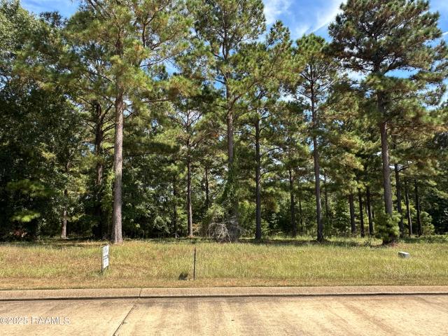 Land for sale in Many, Louisiana