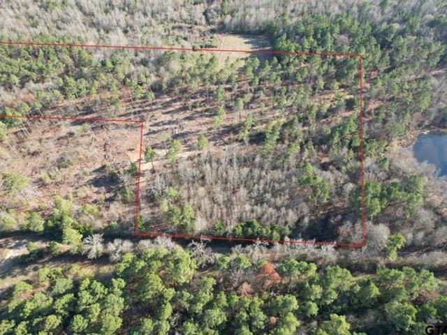 Land for sale in Panola, Texas