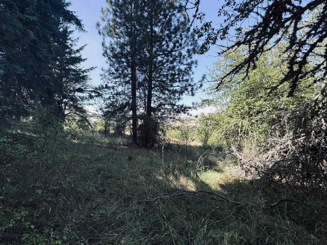Land for sale in Idaho County, Idaho
