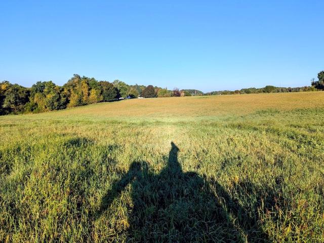 Land for sale in Virginia