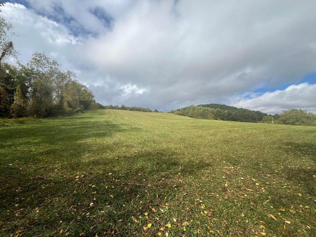 Land for sale in Hillsville, Carroll County