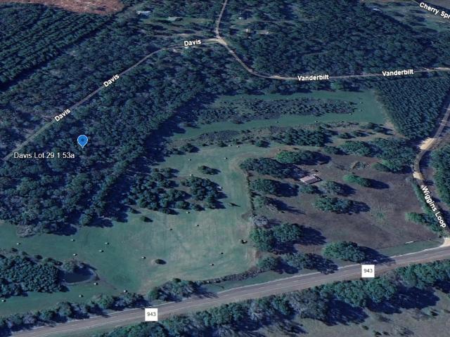Land for sale in Polk, Texas