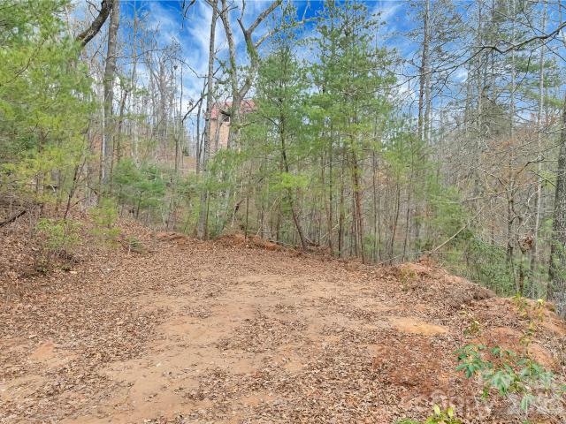 Land for sale in Saluda, North Carolina