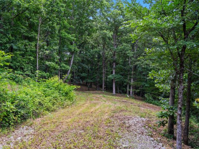 Land for sale in Missouri