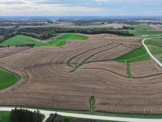 Land for sale in Money Creek Township, Houston County