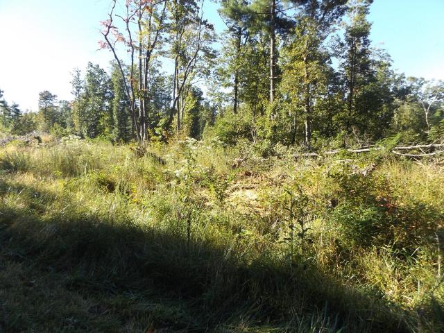 Land for sale in Hillsville, Carroll County