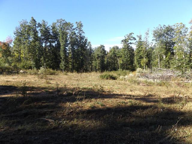 Land for sale in Hillsville, Carroll County