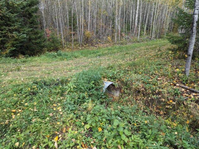 Land for sale in Littlefork, Minnesota
