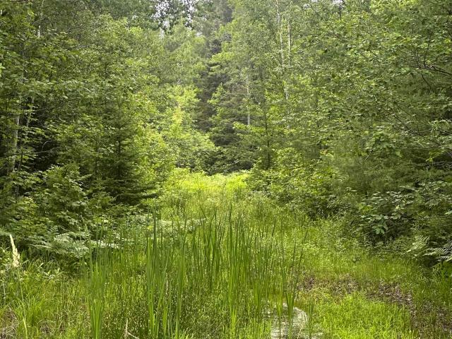 Land for sale in Deerton, Onota Township
