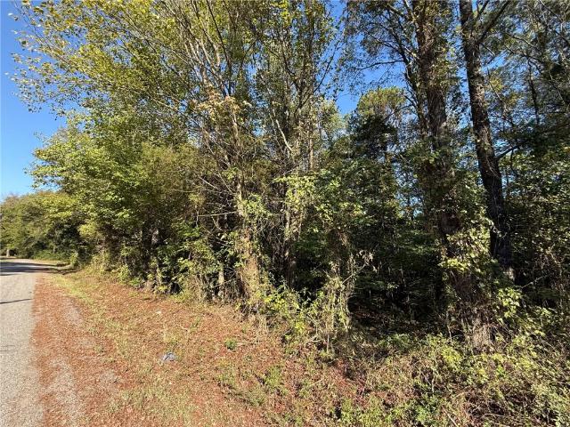 Land for sale in Dardanelle, Yell County