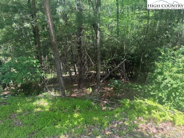 Land for sale in Alleghany, North Carolina