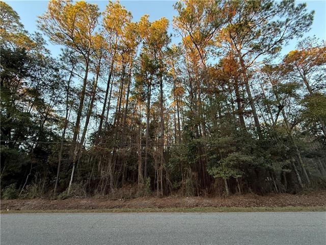 Land for sale in Mandeville, Louisiana