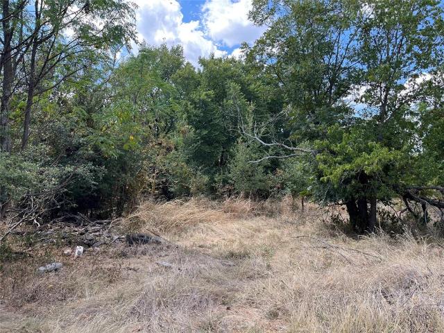 Land for sale in Bosque, Texas